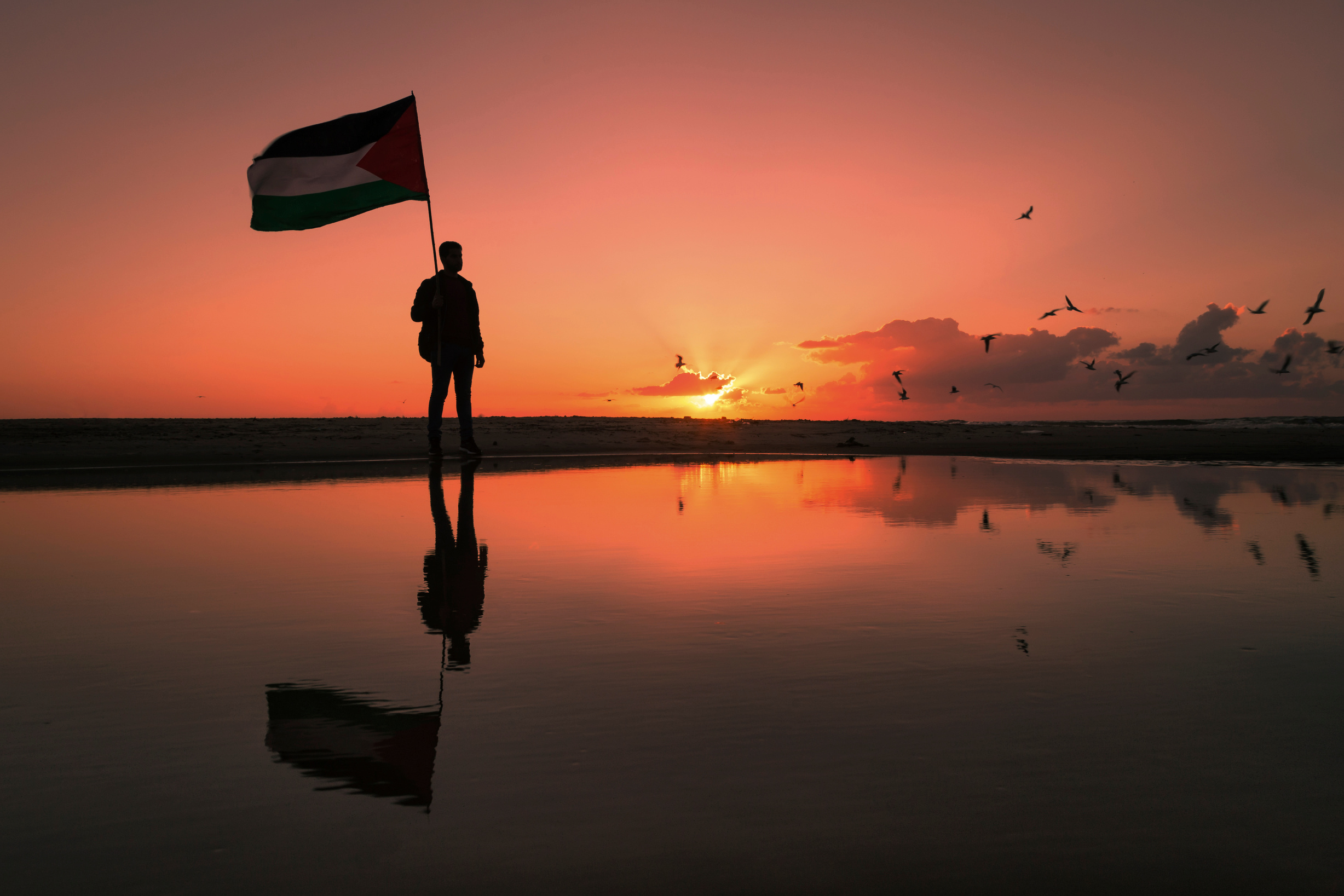 Silhouette of young man holding up Palestine flag.